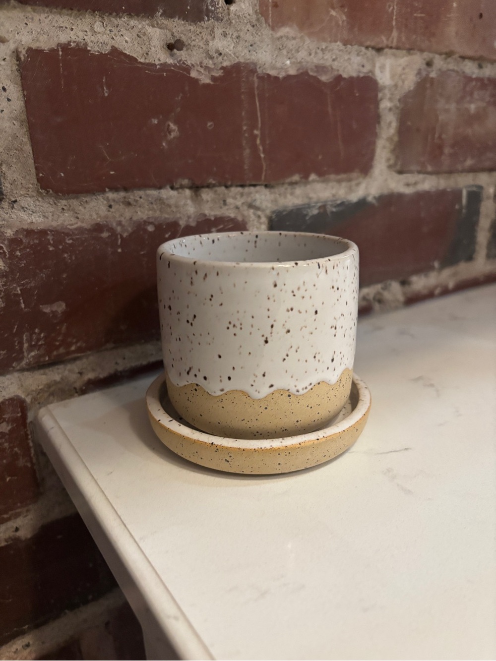 Speckled Ceramic Planter with Saucer by Good Stuff Pots